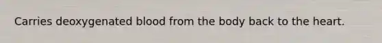 Carries deoxygenated blood from the body back to <a href='https://www.questionai.com/knowledge/kya8ocqc6o-the-heart' class='anchor-knowledge'>the heart</a>.