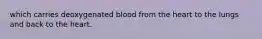 which carries deoxygenated blood from the heart to the lungs and back to the heart.