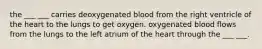 the ___ ___ carries deoxygenated blood from the right ventricle of the heart to the lungs to get oxygen. oxygenated blood flows from the lungs to the left atrium of the heart through the ___ ___.