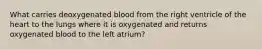 What carries deoxygenated blood from the right ventricle of the heart to the lungs where it is oxygenated and returns oxygenated blood to the left atrium?