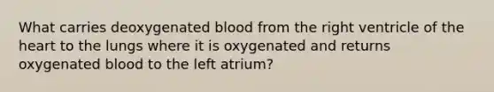 What carries deoxygenated blood from the right ventricle of the heart to the lungs where it is oxygenated and returns oxygenated blood to the left atrium?