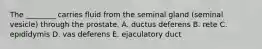 The ________ carries fluid from the seminal gland (seminal vesicle) through the prostate. A. ductus deferens B. rete C. epididymis D. vas deferens E. ejaculatory duct