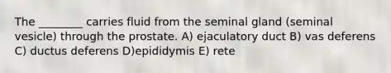 The ________ carries fluid from the seminal gland (seminal vesicle) through the prostate. A) ejaculatory duct B) vas deferens C) ductus deferens D)epididymis E) rete