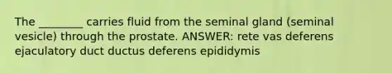 The ________ carries fluid from the seminal gland (seminal vesicle) through the prostate. ANSWER: rete vas deferens ejaculatory duct ductus deferens epididymis