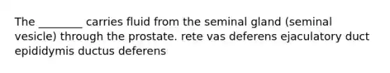The ________ carries fluid from the seminal gland (seminal vesicle) through the prostate. rete vas deferens ejaculatory duct epididymis ductus deferens