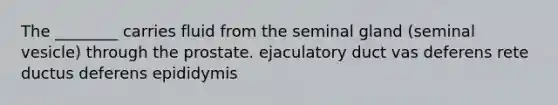 The ________ carries fluid from the seminal gland (seminal vesicle) through the prostate. ejaculatory duct vas deferens rete ductus deferens epididymis