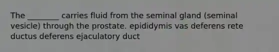 The ________ carries fluid from the seminal gland (seminal vesicle) through the prostate. epididymis vas deferens rete ductus deferens ejaculatory duct