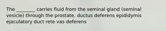 The ________ carries fluid from the seminal gland (seminal vesicle) through the prostate. ductus deferens epididymis ejaculatory duct rete vas deferens