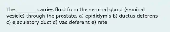 The ________ carries fluid from the seminal gland (seminal vesicle) through the prostate. a) epididymis b) ductus deferens c) ejaculatory duct d) vas deferens e) rete