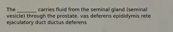 The ________ carries fluid from the seminal gland (seminal vesicle) through the prostate. vas deferens epididymis rete ejaculatory duct ductus deferens