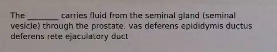 The ________ carries fluid from the seminal gland (seminal vesicle) through the prostate. vas deferens epididymis ductus deferens rete ejaculatory duct