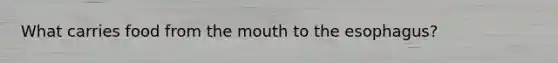 What carries food from the mouth to the esophagus?