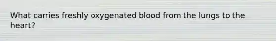 What carries freshly oxygenated blood from the lungs to <a href='https://www.questionai.com/knowledge/kya8ocqc6o-the-heart' class='anchor-knowledge'>the heart</a>?