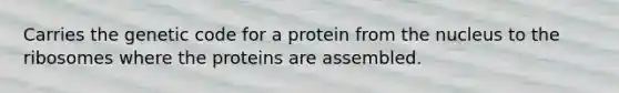 Carries the genetic code for a protein from the nucleus to the ribosomes where the proteins are assembled.