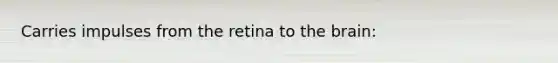 Carries impulses from the retina to the brain: