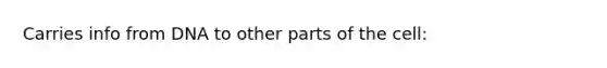 Carries info from DNA to other parts of the cell: