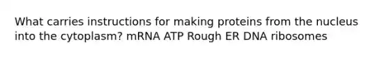 What carries instructions for making proteins from the nucleus into the cytoplasm? mRNA ATP Rough ER DNA ribosomes