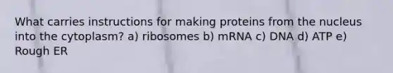 What carries instructions for making proteins from the nucleus into the cytoplasm? a) ribosomes b) mRNA c) DNA d) ATP e) Rough ER