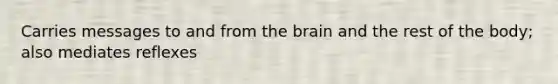 Carries messages to and from the brain and the rest of the body; also mediates reflexes