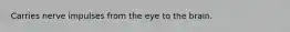 Carries nerve impulses from the eye to the brain.