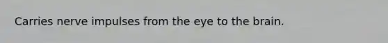 Carries nerve impulses from the eye to the brain.