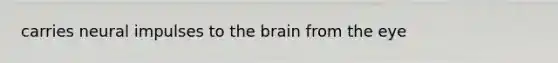 carries neural impulses to the brain from the eye