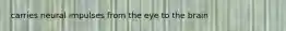 carries neural impulses from the eye to the brain