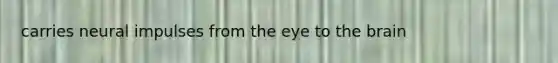 carries neural impulses from the eye to the brain