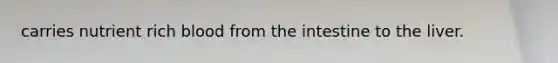carries nutrient rich blood from the intestine to the liver.