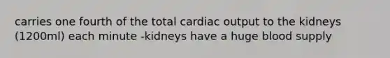 carries one fourth of the total cardiac output to the kidneys (1200ml) each minute -kidneys have a huge blood supply