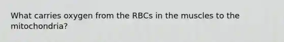 What carries oxygen from the RBCs in the muscles to the mitochondria?