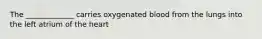 The _____________ carries oxygenated blood from the lungs into the left atrium of the heart