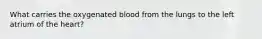 What carries the oxygenated blood from the lungs to the left atrium of the heart?