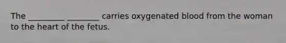 The _________ ________ carries oxygenated blood from the woman to the heart of the fetus.