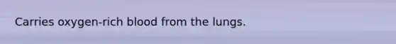 Carries oxygen-rich blood from the lungs.