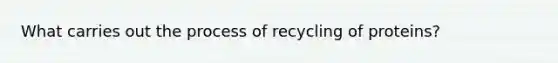 What carries out the process of recycling of proteins?