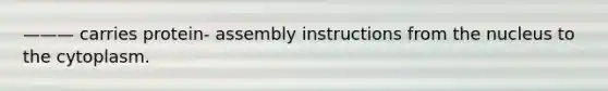 ——— carries protein- assembly instructions from the nucleus to the cytoplasm.