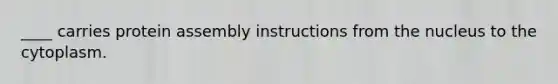 ____ carries protein assembly instructions from the nucleus to the cytoplasm.