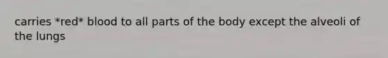 carries *red* blood to all parts of the body except the alveoli of the lungs