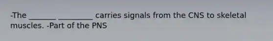 -The _______ _________ carries signals from the CNS to skeletal muscles. -Part of the PNS