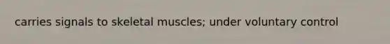 carries signals to skeletal muscles; under voluntary control