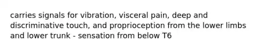 carries signals for vibration, visceral pain, deep and discriminative touch, and proprioception from the lower limbs and lower trunk - sensation from below T6