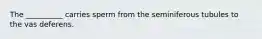 The __________ carries sperm from the seminiferous tubules to the vas deferens.