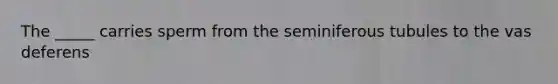 The _____ carries sperm from the seminiferous tubules to the vas deferens