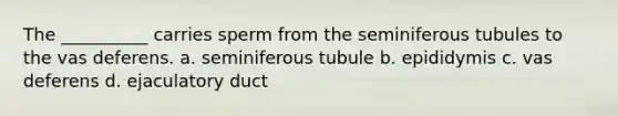 The __________ carries sperm from the seminiferous tubules to the vas deferens. a. seminiferous tubule b. epididymis c. vas deferens d. ejaculatory duct