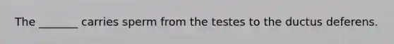 The _______ carries sperm from the testes to the ductus deferens.