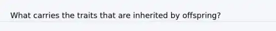 What carries the traits that are inherited by offspring?