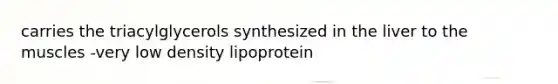 carries the triacylglycerols synthesized in the liver to the muscles -very low density lipoprotein