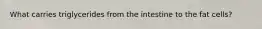 What carries triglycerides from the intestine to the fat cells?