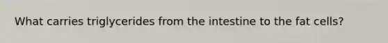 What carries triglycerides from the intestine to the fat cells?